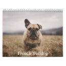 Search for french bulldog office supplies Puppy