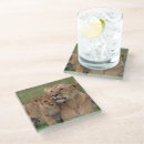 Search for reserve coasters Savannah