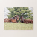 Search for equestrian puzzles Farm animal