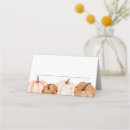 Search for pumpkins place cards Bridal shower