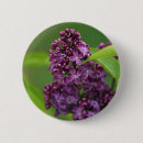 Search for lilac flower badges Nature