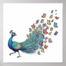 Search for peacock butterfly posters Nature
