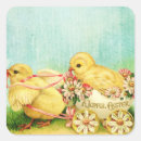 Search for spring chicken stickers Vintage