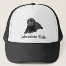Search for labrador hats Black lab