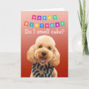 Search for poodle birthday cards Humour
