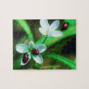 Search for ladybug puzzles Close up