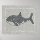Search for killer whale art Animal