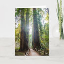 Search for tall cards Nature