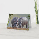 Search for hippo cards Wildlife