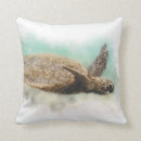 Search for sea turtle cushions Hawaii