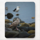 Search for backed mousepads Bird