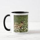 Search for white tailed deer mugs Animal