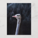 Search for portrait invitations Cute