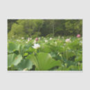 Search for lotus flower tissue paper Floral