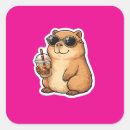 Search for cute funny animals stickers Kawaii