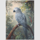 Search for parrot tissue paper Jungle