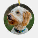 Search for duck hunting christmas tree decorations Dogs
