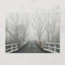 Search for cold postcards Tranquil scene