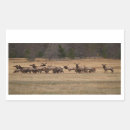 Search for herding stickers Animal