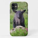 Search for black sheep iphone cases Cute