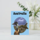 Search for emu postcards Bird