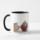 Search for sleeping kitten mugs Tabby