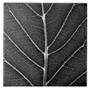 Search for glow tiles Leaf