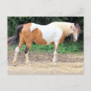 Search for light brown postcards White