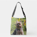 Search for darling bags Cute