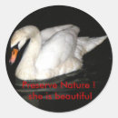 Search for white river stickers Lake