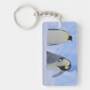 Search for penguin key rings Nature