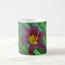 Search for day lily mugs Nature