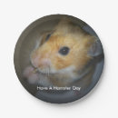Search for hamsters Syrian