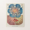 Search for biology science puzzles Vintage