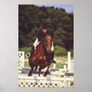Search for equestrian sport posters Rider