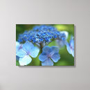 Search for blue hydrangea canvas prints Flower