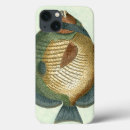 Search for colourful sea shells electronics Coastal