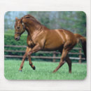 Search for thoroughbreds mousepads Ireland