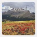 Search for jasper stickers Canadian rockies