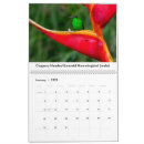 Search for hummingbird calendars Birding