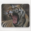 Search for yawn mousepads Wildlife