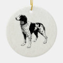 Search for brittany spaniel christmas tree decorations Animal