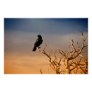 Search for bare trees posters Sunset