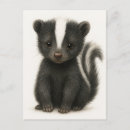 Search for skunks postcards Nature