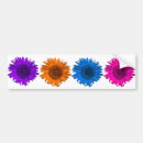 Search for orange and white bumper stickers Colourful
