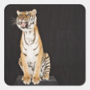 Search for platform stickers Full length