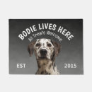 Search for dalmatian doormats Pets
