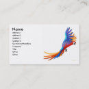 Search for macaws business cards Scarlet