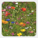 Search for beautiful flower stickers Nature