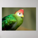 Search for crests posters Nature